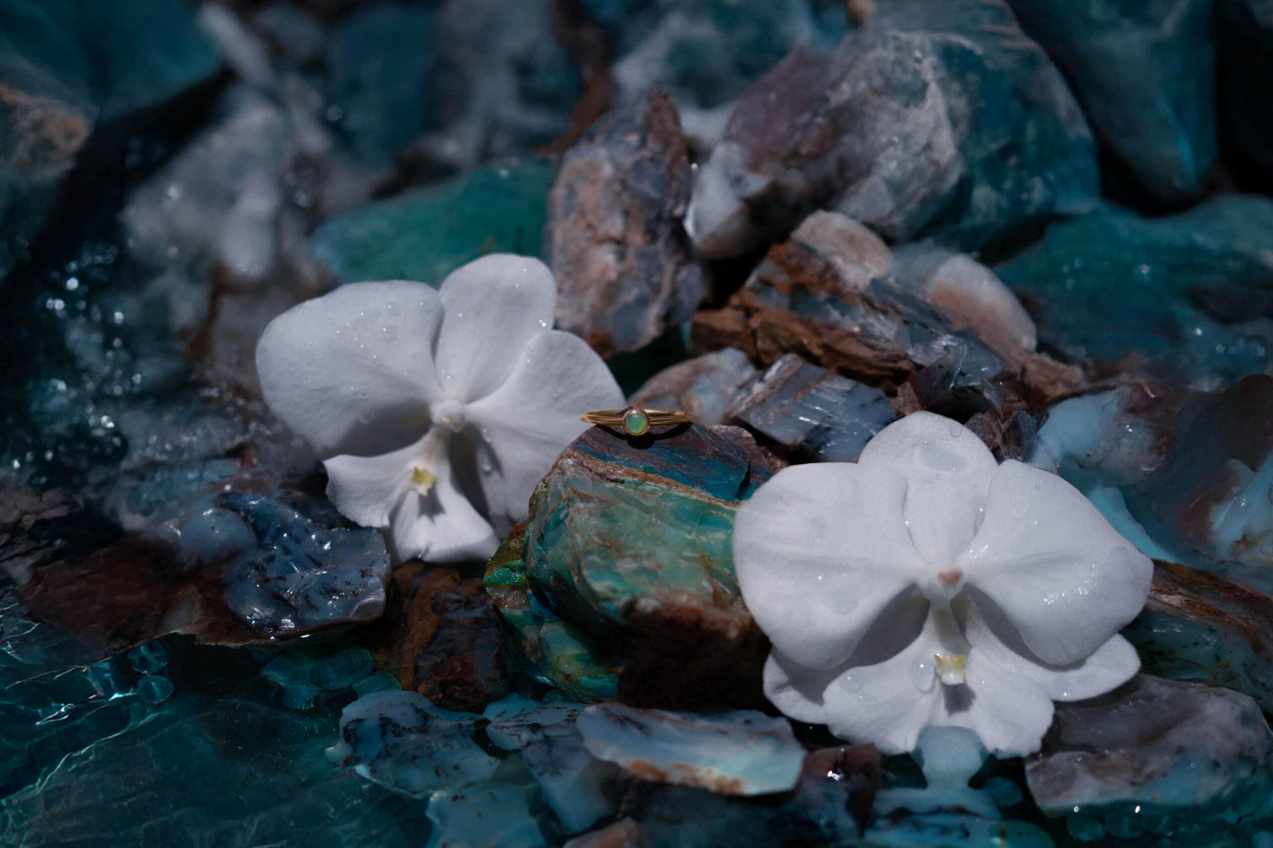 LUJO SAGRADO: UN VIAJE HACIA EL RECONOCIMIENTO DEL ÓPALO ANDINO COMO PIEDRA NACIONAL DSC01787 1 Scaled