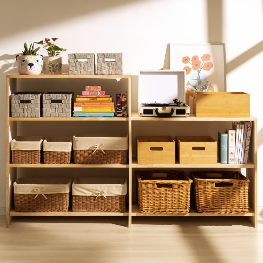 Proyecto Nuevo 1 1024x1024