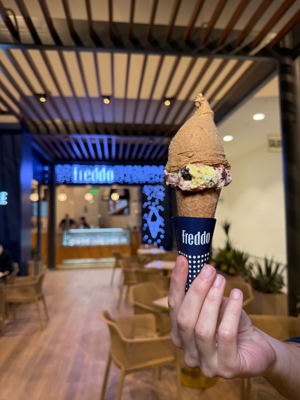 IMG 4607 1 1024x1365