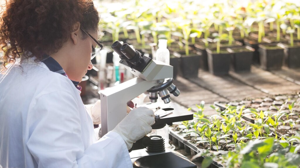 Las tecnologías agrícolas digitales crecen tres veces más rápido que la media ante el reto cada vez mayor de la seguridad alimentaria mundial Oficina Europea De Patentes 1 1024x576