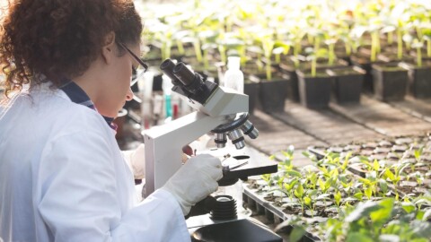 Oficina Europea De Patentes 1 480x270