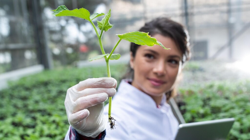 Oficina Europea De Patentes EPO 1 1024x576